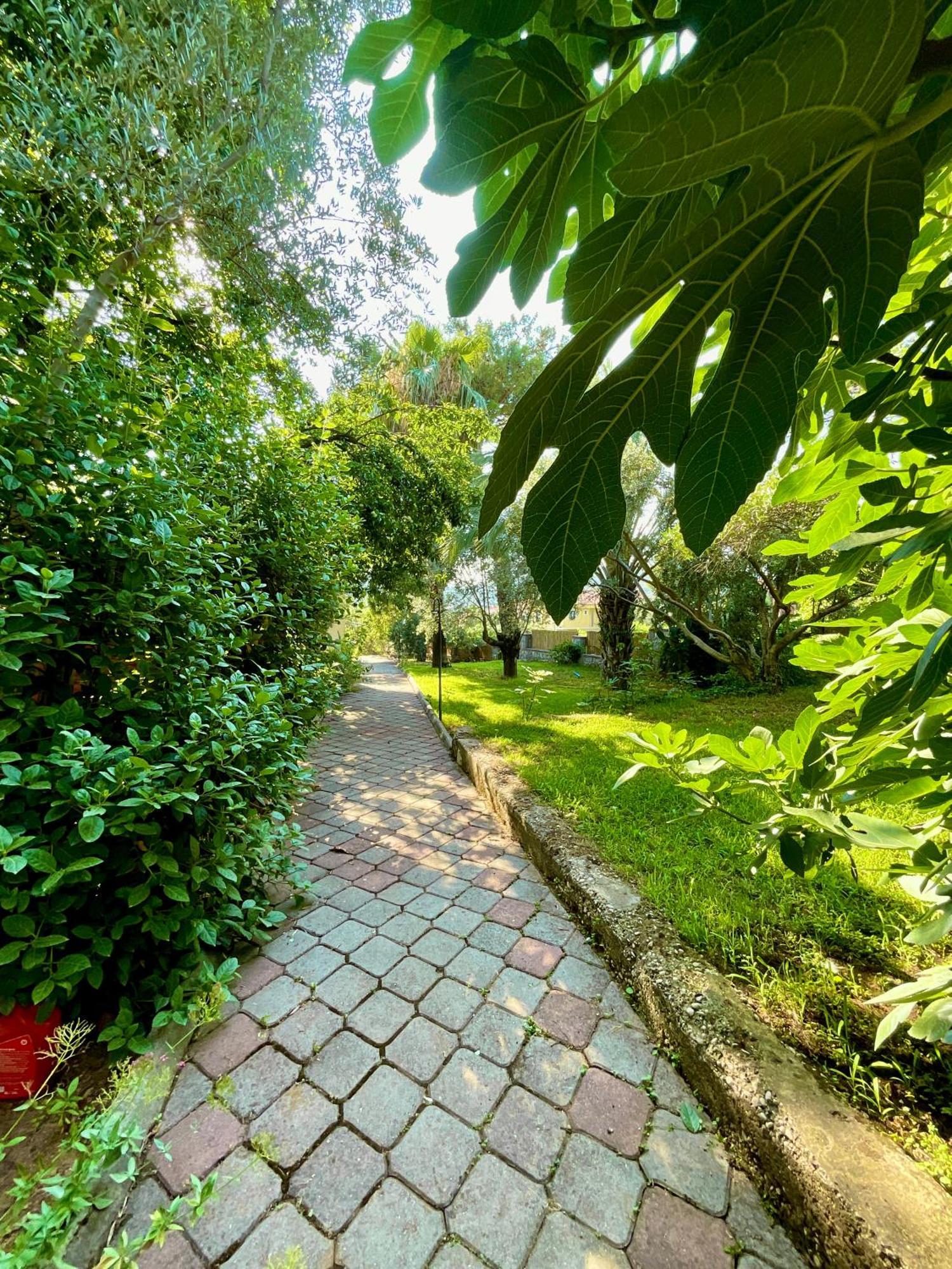 Gunes Boutique Otel Fethiye Buitenkant foto